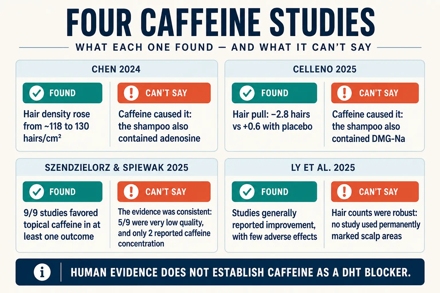 Four clinical studies on topical caffeine, each paired with what it found and what it cannot establish: Chen 2024 saw hair density rise from about 118 to 130 hairs per square centimeter but the shampoo also contained adenosine; Celleno 2025 saw a hair-pull change of minus 2.8 hairs against plus 0.6 with placebo but the shampoo also contained DMG-Na; two 2025 systematic reviews found consistently favorable outcomes but five of nine studies were very low quality and none used permanently marked scalp areas. Human evidence does not establish caffeine as a DHT blocker