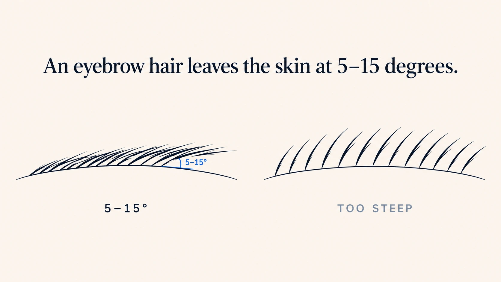 Two line drawings of the same brow ridge side by side - on the left, hairs leaving the skin almost flat at a marked 5 to 15 degree angle and overlapping into a full natural brow; on the right, the same brow with the hairs standing too steeply and separating into visible gaps, labeled too steep