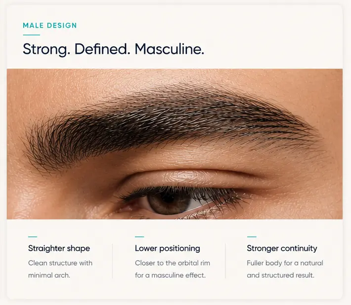Male eyebrow restoration example — Pure Line Clinic