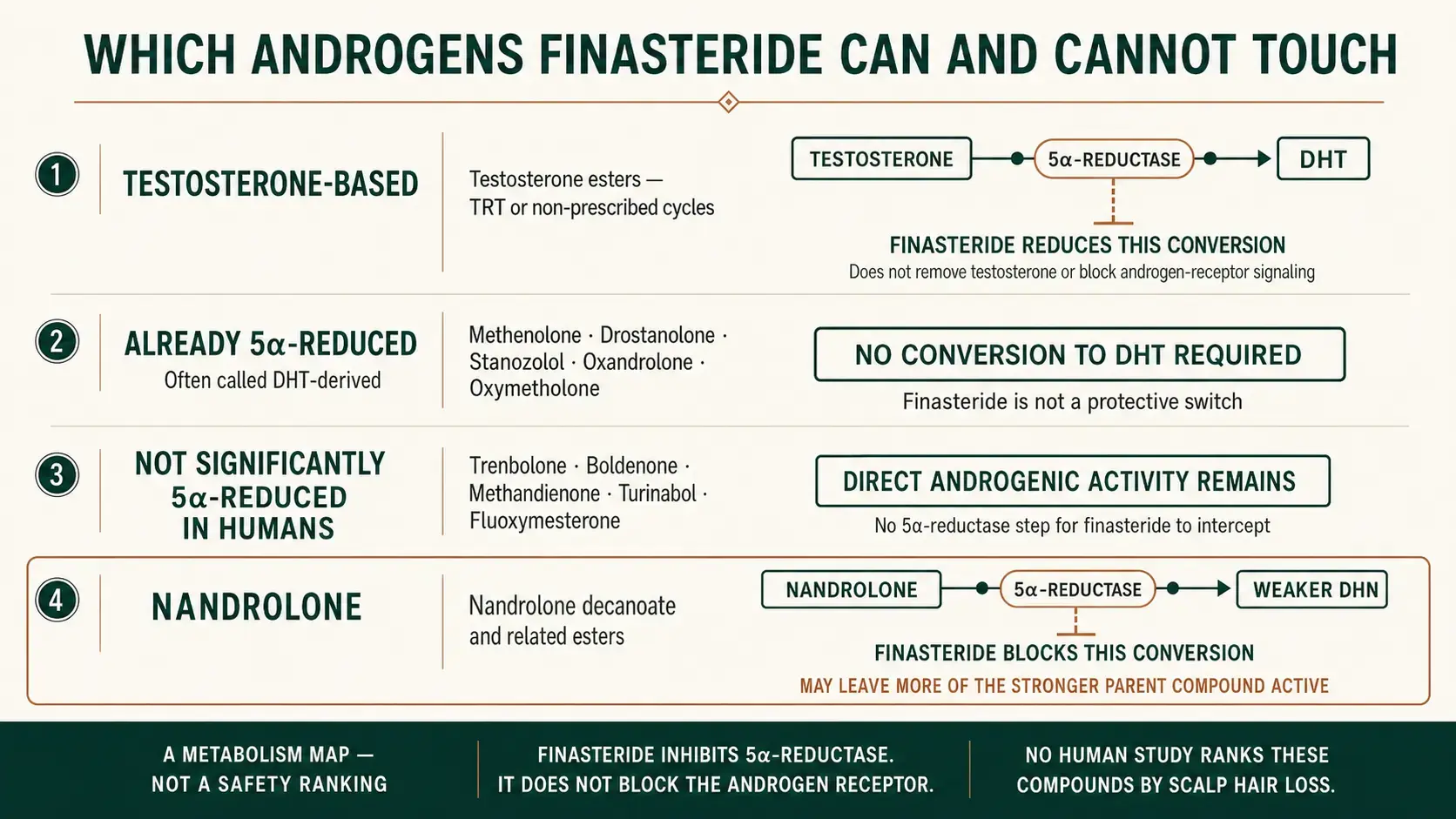 Four androgen groups mapped against 5-alpha-reductase metabolism: testosterone-based compounds, where finasteride reduces conversion to DHT; already 5-alpha-reduced compounds such as drostanolone and stanozolol, which need no conversion; compounds such as trenbolone that are not significantly 5-alpha-reduced in humans; and nandrolone, where blocking conversion may leave more of the stronger parent compound active